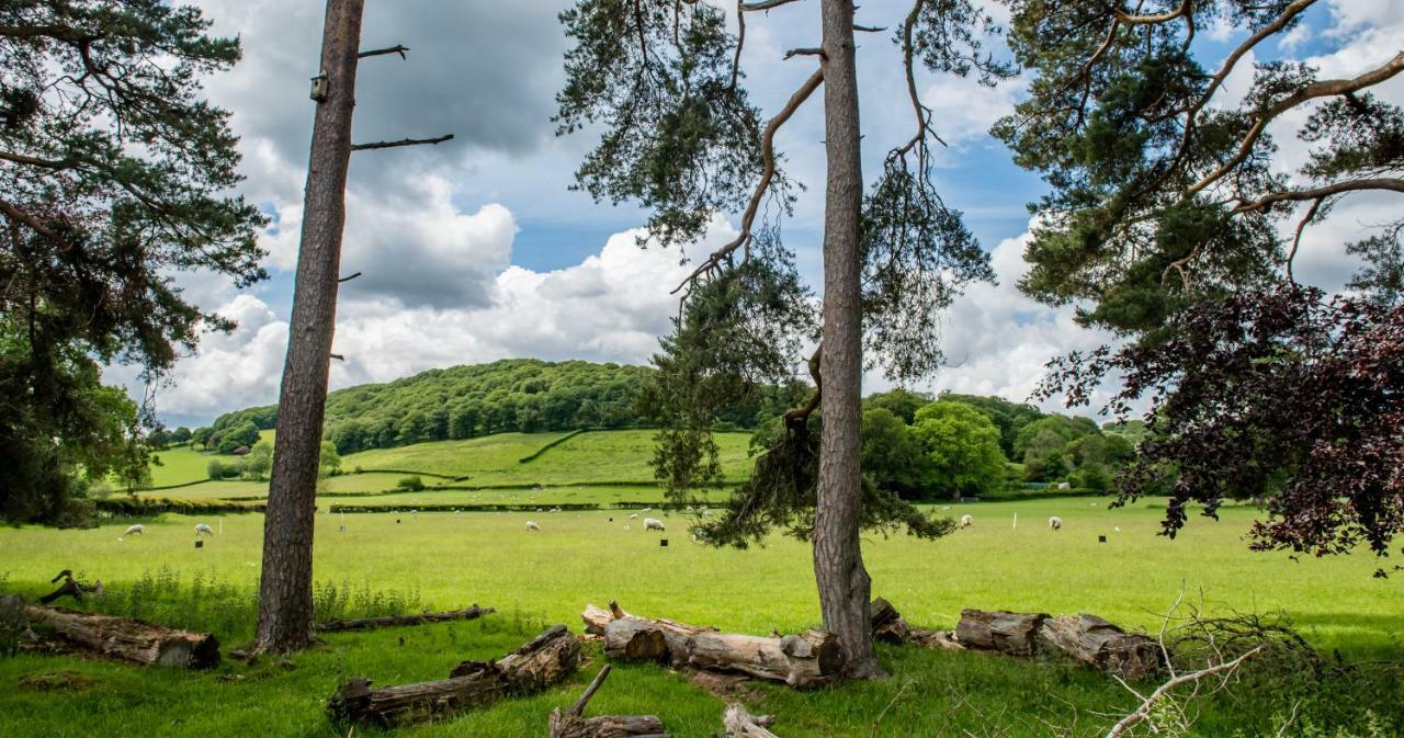 Swn Y Coed Bed and Breakfast Llanwrtyd Wells Buitenkant foto